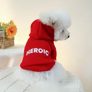 Close-up of a red pet hoodie with white HEROIC print on a small white curly-haired dog