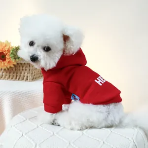 Close-up of red dog hoodie with white letters on a white dog sitting on a chair