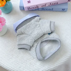 Detail view of a gray knit pet sweater with a blue striped shirt collar on plush carpet