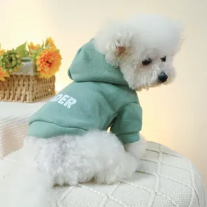 Detail of sage green hooded pet hoodie with white letter print and ribbed cuffs