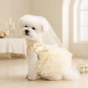 Elegant champagne lace pet wedding dress with tulle skirt and veil for small dogs