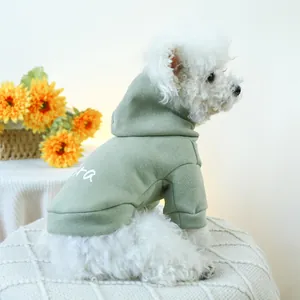 Detail of mint green pet hoodie with white script print on a soft knitted stool
