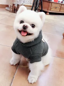Detalle del suéter de punto para mascotas gris verde oscuro con textura gruesa