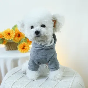 Close-up of small white dog wearing a grey hooded pet sweatshirt with ribbed cuffs