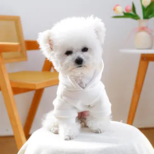 Gros plan d'un sweat à capuche blanc pour petit chien dans un cadre chaleureux