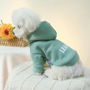 Detail view of green pet hoodie with LEAD print on Bichon Frise dog for autumn