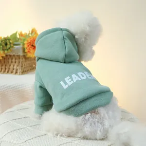 Detail showing the mint green pet hoodie featuring the LEADER print and soft cotton texture