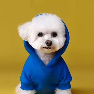 Blue pet hoodie with ribbed cuffs on a white dog against a bright yellow backdrop