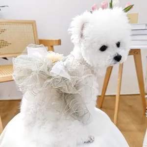 Detail of elegant champagne tulle pet bow dress with lace flowers on a white dog