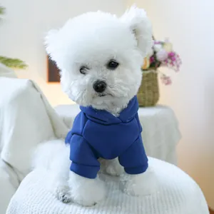 Close-up of a blue pet hoodie on a Bichon dog with ribbed cuffs and pocket detail