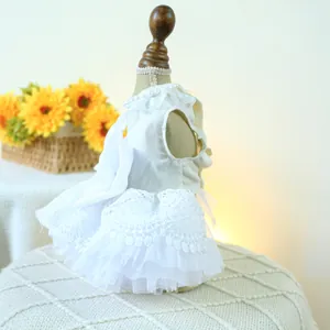 Détail d'une robe de mariée blanche pour chien avec dentelle délicate et perles au col