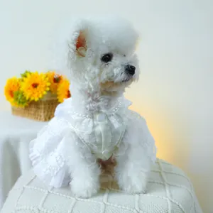 Détail de la robe de mariée pour chien avec dentelle et collier de perles élégant