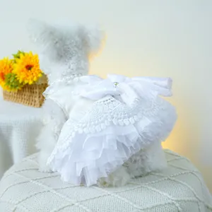 Détail de robe de mariée pour chien avec broderie en dentelle et grand nœud en perles