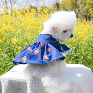 Robe Mignonne pour Chien Avec Broderie de Fraises Bordure en Dentelle Et Anneau en D Jupe pour Chat Look Denim