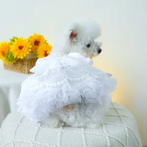 Gros plan détaillé de la robe de mariée pour chien en dentelle blanche et tulle