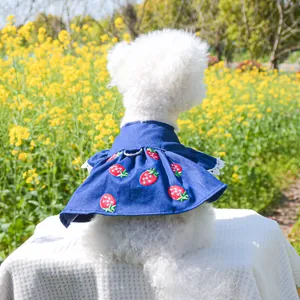 Robe pour chien avec broderie fraise, dentelle et boucle en D sur un caniche blanc