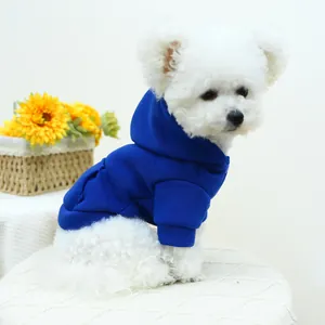 Blue pet hoodie with pocket and elastic cuffs on a white Bichon dog model