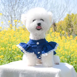 Petit chien portant une robe en jean bleu foncé avec dentelle dans un champ de fleurs