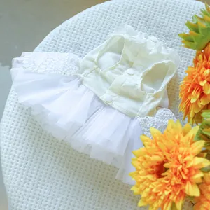Détail de robe de mariée pour chien avec collier de perles et manches en dentelle