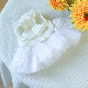 Détail d'une robe de mariée blanche pour chien avec manches en dentelle et col perlé