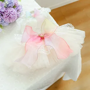 Detail of pet dress with layered lace tulle and large pink gradient bow with heart gem