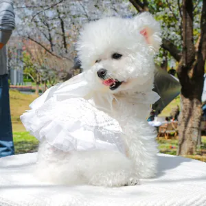 Robe de mariée élégante en dentelle blanche avec perles pour petits chiens Bichon