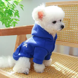 Royal blue hooded pet sweatshirt with white embroidery on a small white dog