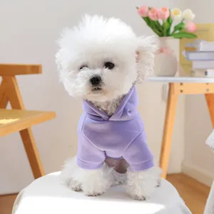 Detail view of a lavender pet hoodie on a small white dog in a cozy home setting