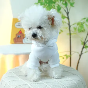 Close-up of minimalist white pet hoodie fabric texture on small dog with soft lighting