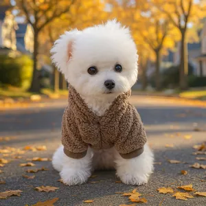 Sweat à capuche chaud en polaire sherpa marron pour petit chien en décor automnal