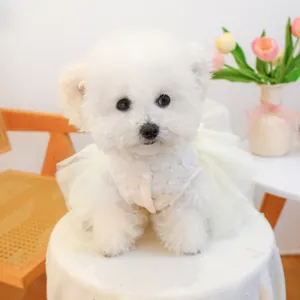 Detailed close-up of elegant white pet wedding dress featuring delicate floral embroidery