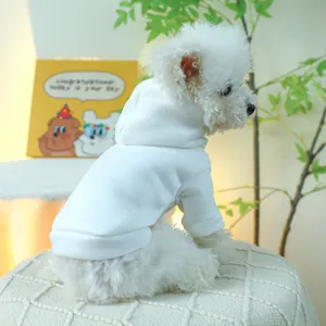 Close-up of white hooded pet sweatshirt fabric on a small dog in a cozy indoor setting