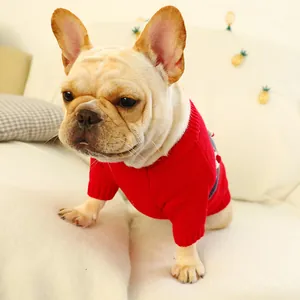 Close-up of red knit pet sweater featuring ribbed collar and warm texture for dogs