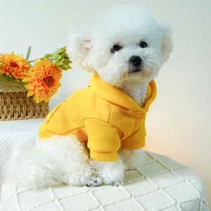 Detail of yellow pet hoodie on white dog with focused stitching and button collar