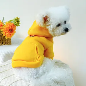 Close-up of bright yellow dog hoodie with metal D-ring for leash attachment