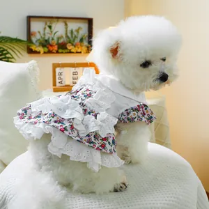 Détail d'une robe d'été pour chien en dentelle florale violette sur un bichon blanc