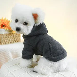 Dark gray dog hoodie with functional pocket and leash ring on a white Bichon dog