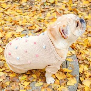 Close-up of beige pet sweater with 3D colorful pom-poms on French Bulldog outdoors