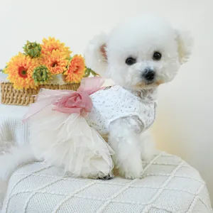 Elegant white lace pet dress with beige tulle skirt and large pink bow for small dogs