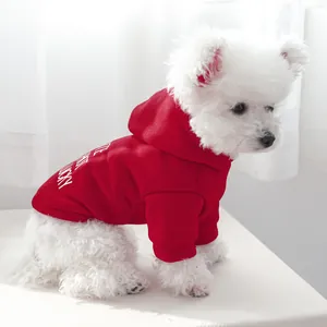 Detail of red hooded pet sweatshirt with white LUCKY print on a small white dog