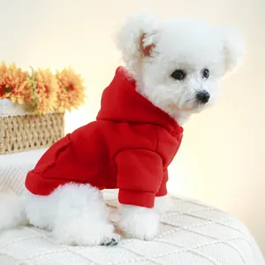 Red pet hoodie for small dogs with pocket and hood shown on a white bichon frise