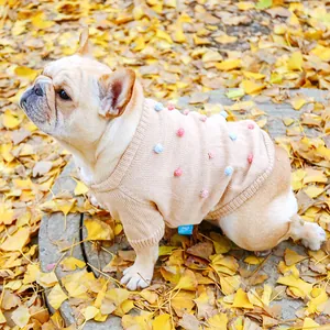 Detail of beige knit pet sweater with colorful pom-poms on a French Bulldog
