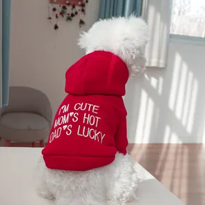 Red pet hoodie with white slogan embroidery for small dogs and cats in cozy home setting