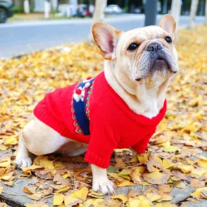 French Bulldog wearing a red Christmas knit dog sweater with a snowman pattern outdoors