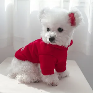 Close-up of red pet hoodie with NY print on white Bichon dog for small puppy