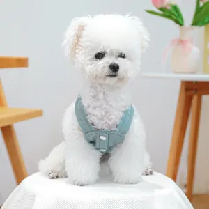 Gilet en jean à motif floral pour petit chien porté par un chiot Bichon Frisé