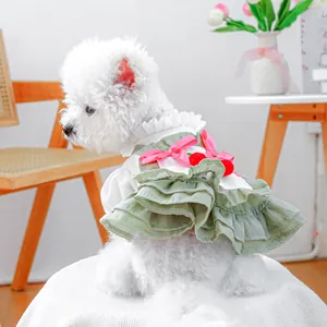 Cute pet cherry cake dress in light green mesh with pink bows for small dogs and cats