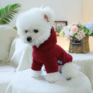 Nahaufnahme eines tiefroten Hunde-Hoodies an einem weißen Hund im gemütlichen Heim
