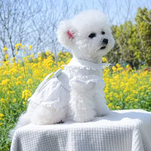 Robe en dentelle blanche respirante avec nœud bleu pour petits chiens en printemps et été