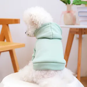 Weicher mintgrüner Haustier-Hoodie für kleine Hunde und Katzen mit gemütlichem Rippsaum